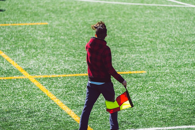 他的训练方 他的训练方