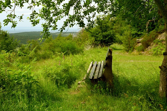 本赛季的竞 本赛季的竞